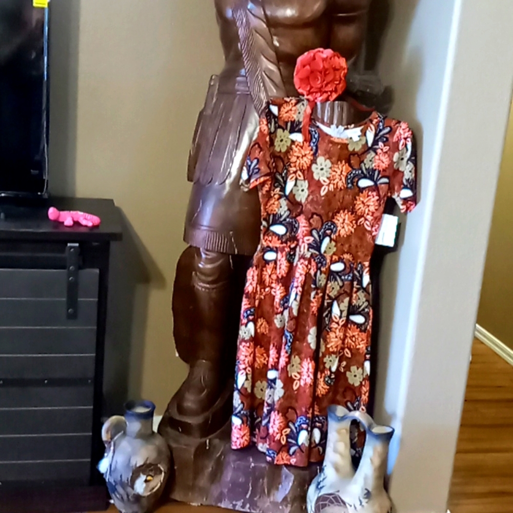 Lularoe Amelia